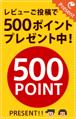 ӥ塼500ݥȥץ쥼